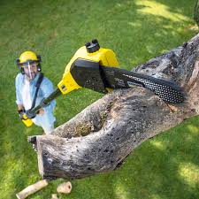 Best Lawn Mowing  in Wilkesboro, NC